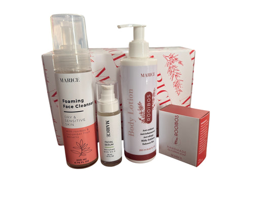 Festive Essentials Gift Set